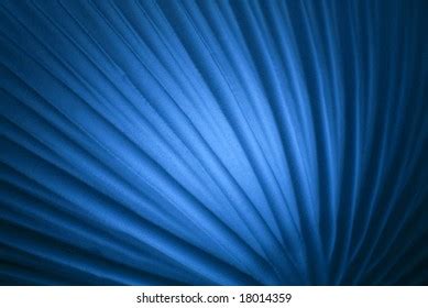 Abstract Blue Background Curved Lines Stock Photo 18014359 | Shutterstock