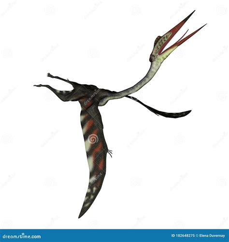 Quetzalcoatlus Flying Reptile With Font Stock Image