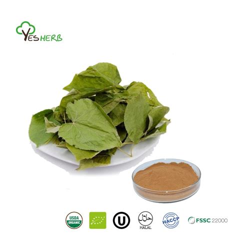 Epimedium Extract Supplier