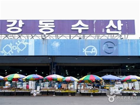 가락수산시장 서울특별시 송파구 가볼만한곳