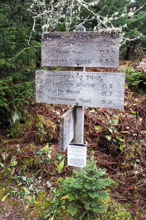 Hiking Mt. LeConte in the Great Smoky Mountains | Earth Trekkers