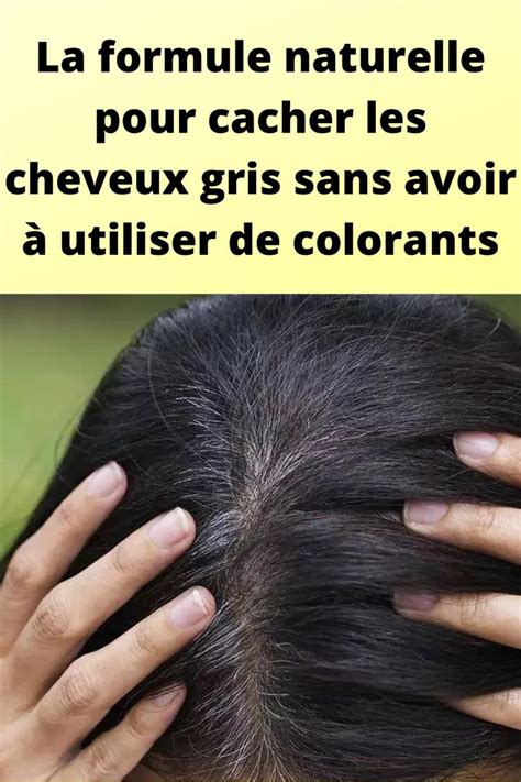 La Formule Naturelle Pour Cacher Les Cheveux Gris Sans Avoir Utiliser