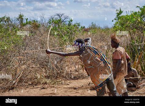 Los Bosqueros De La Tribu Hadzabe Entrenan La Caza Con Arco Y Flecha