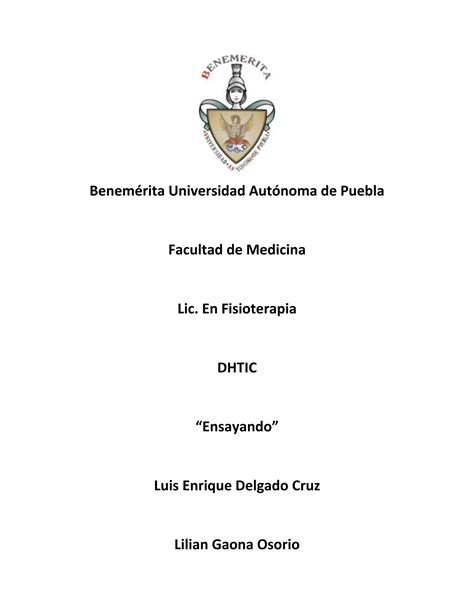 Ensayo De Dhtic Final Pdf