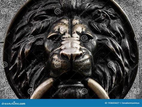 Metal Lion Head Stock Image 74839003