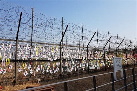 Tour Di Mezza Giornata In DMZ E Trasferimento All Aeroporto Di Incheon