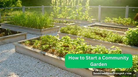 How To Start A Community Garden The Ultimate Guide