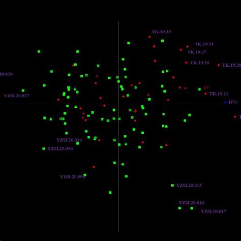 Principal Coordinate Analysis Of 120 Maize Inbred Lines Illustrated