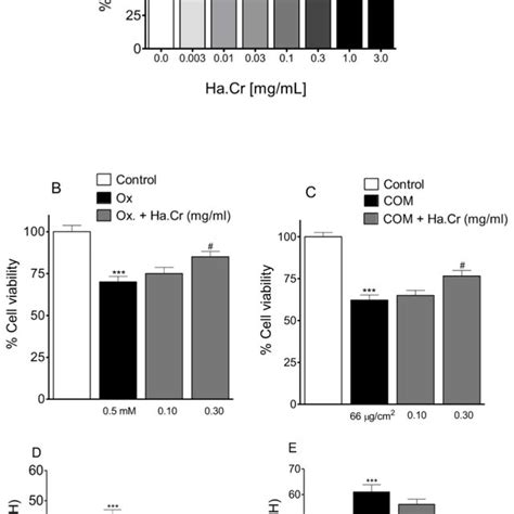 Effect On Mdck Cells Effects Of Various Concentrations Of Ha Cr On Mdck