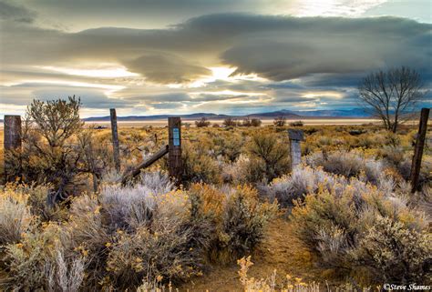 Desert Sagebrush Black Rock Desert Nevada Steve Shames Photo Gallery