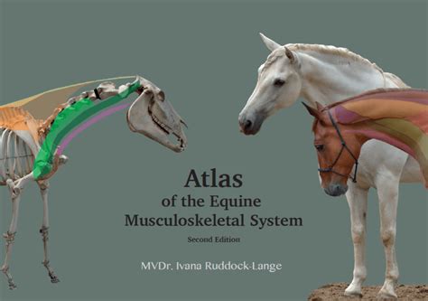 Atlas Of The Equine Musculoskeletal System 2nd Edition Online Only