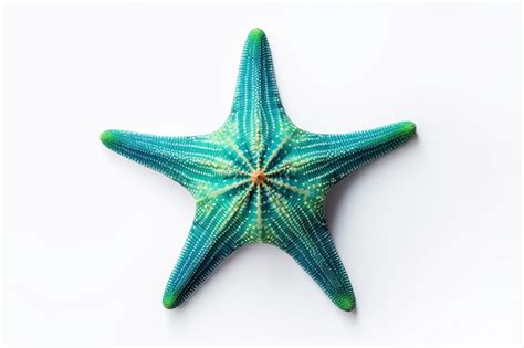 Stunning Top View Of Vibrant Green And Blue Starfish On A Pristine