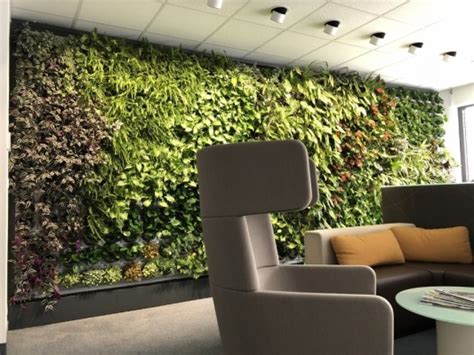 Indoor Artificial Grass Wall - 900x675 Wallpaper - teahub.io