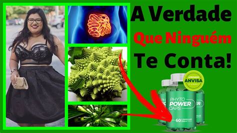 ALERTA Phyto Power Caps Funciona Meus Resultados Usando Phyto Power