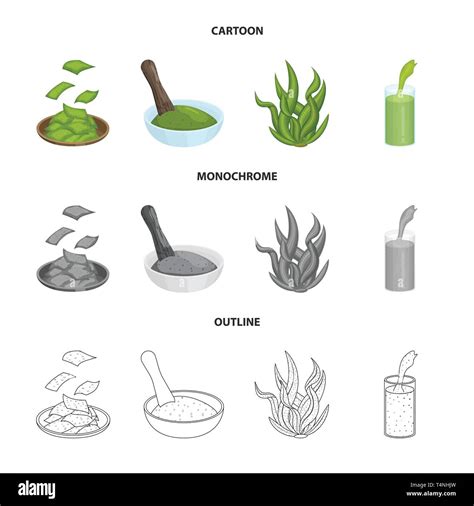 Ilustración vectorial de proteínas y mar icono Conjunto de proteínas