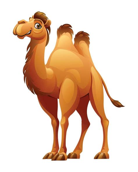 Camel cartoon vector illustration isolated on white background 36372450 ...