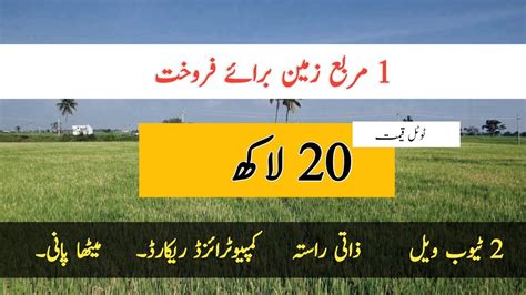 Agriculture Land For Sale In Punjab Pakistan Land For Sale Zameen