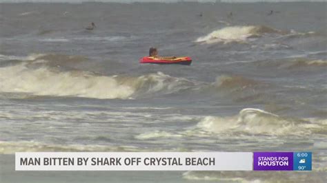 shark attacks  rare  texas khoucom