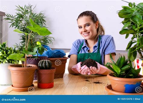 Jardineiro F Mea Novo Plantas Dentro Foto De Stock Imagem De