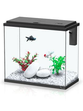 PEIXANÁRIO LOJA DE AQUARIOFILIA Aquario Kit AVC 40 25 Lt