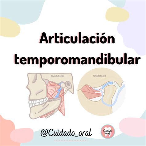 La Articulaci N Temporomandibular Atm Odontolog A Oral Protesis