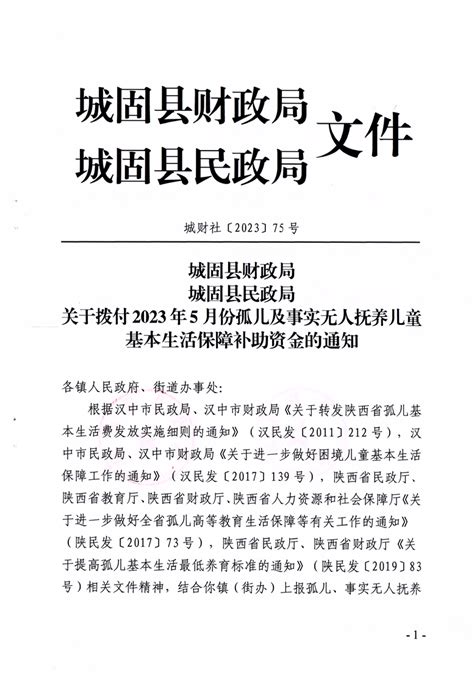 城固县财政局 民政局 关于拨付2023年5月份孤儿及事实无人抚养儿童基本生活保障补助资金的通知 城固县人民政府