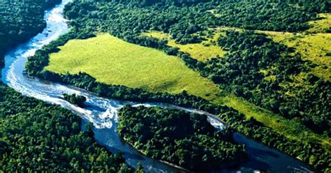 Em Quase Sete Anos Projeto Preserva Mais De 9 Mil Hectares Da Mata