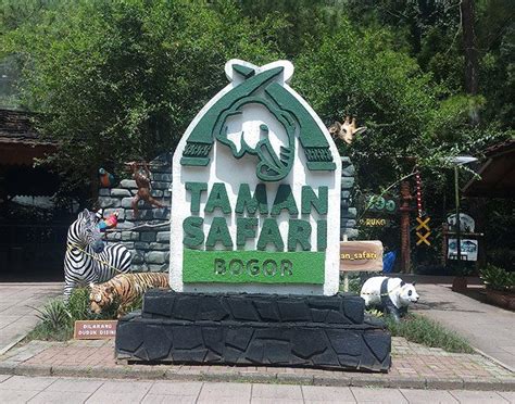 Taman Safari Indonesia Bogor Harga Tiket Masuk And Lokasi Safari