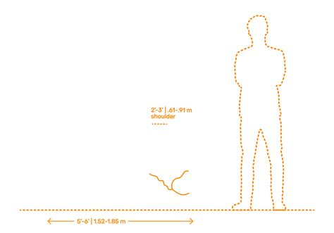 Sloth Bear (Melursus ursinus) Dimensions & Drawings | Dimensions.com