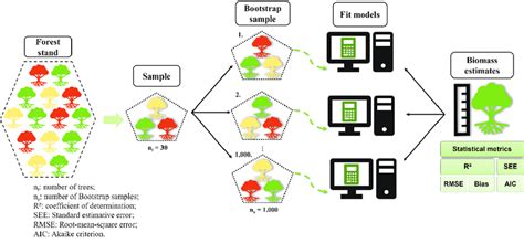 Flowchart Of Bootstrap Samples And Fitted Models In Ilex Paraguariensis