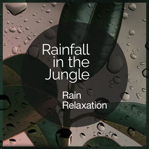 Quick Raindrops Música E Letra De Rain Relaxation Spotify