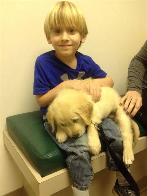 Austin And Scout Hayes Labrador Retriever Labrador Scout