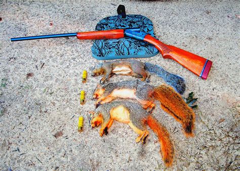 how to cook squirrels