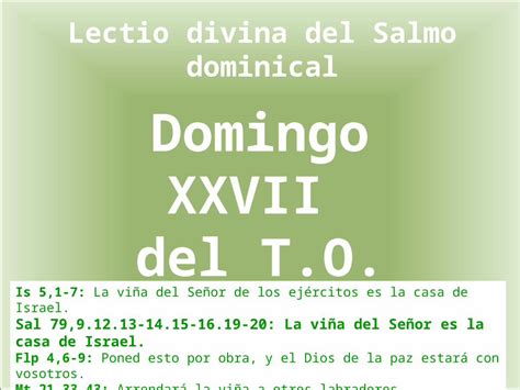 PPT Lectio divina del Salmo dominical Is 5 1 7 La viña del Señor de