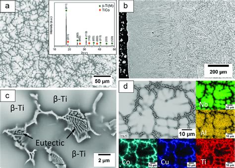 Microstructure Of The Ti Nb Co Cu Al Alloy A Sem