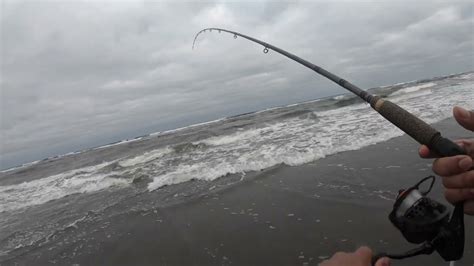 Surf Perch Fishing Washington Coast Too Much Fun Youtube