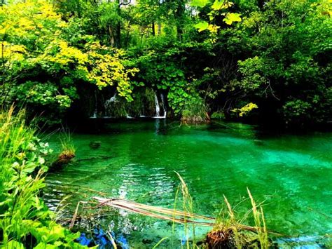 Split Plitvice Lakes Guided Day Tour With Entry Tickets Getyourguide