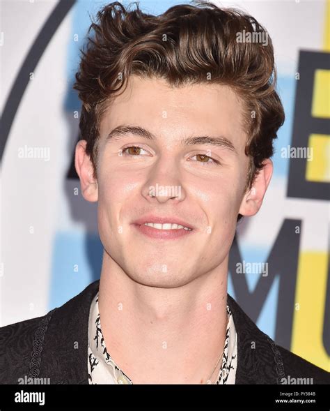 Shawn Mendes Canadian Singer At The 2018 American Music Awards At