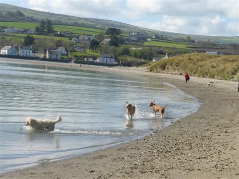 10 Cottages near a dog friendly beach. | Dog friendly beach, Dog ...