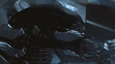 The Alien (Nostromo) - Alien Anthology Wiki - The Alien and Prometheus resource