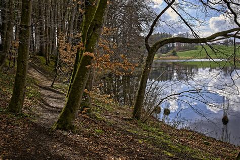 Waldweg Am Wasser Neben Dem Sonderhamer Weiher De Wikipedi Flickr