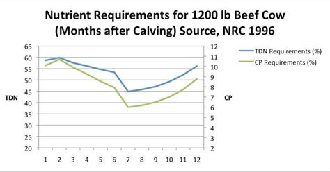 Nutrient requirements for beef cows