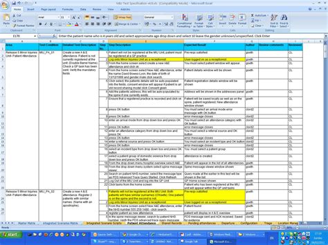 Software Testing Script Template