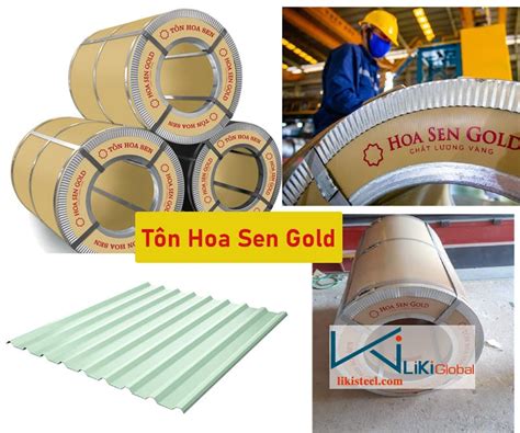 Giá Tôn Hoa Sen Gold Hôm Nay 26 02 2025 CK 5 10