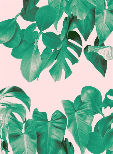 PRINT DESIGN BY RHIANNA ELLINGTON | Plant art print, Plant art, Prints