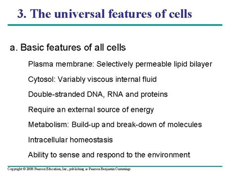 Bio Molecular Cell Biology Lecture Section