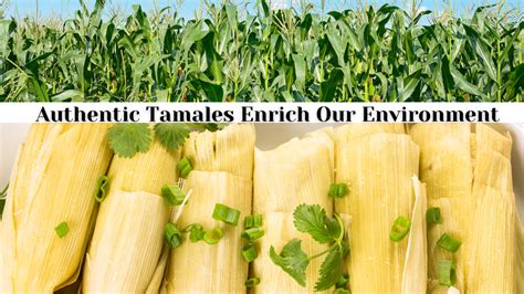 Authentic Tamales Enrich Our Environment – Texas Lone Star Tamales