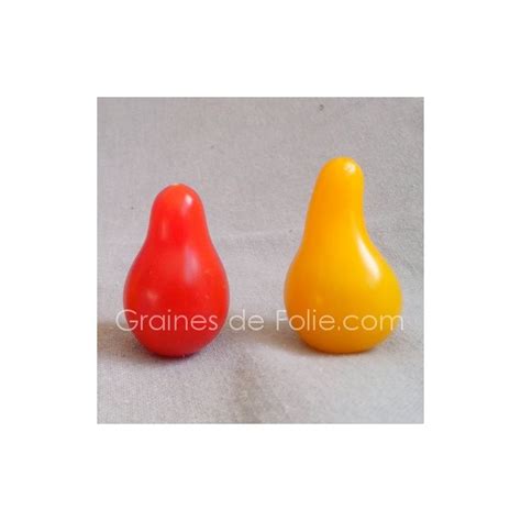 Lot De 2 Sachets De Graines De Tomate Cerise POIRE Bio