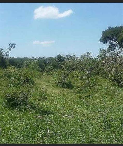 Venta Lote De Terreno En Icasas Mx