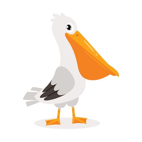 Premium Vector | Cartoon Drawing Of A Pelican